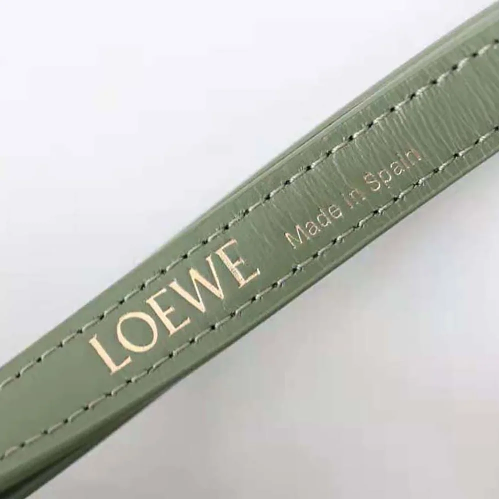 Loewe Goya Bag in Silk Calfskin for Women in Green