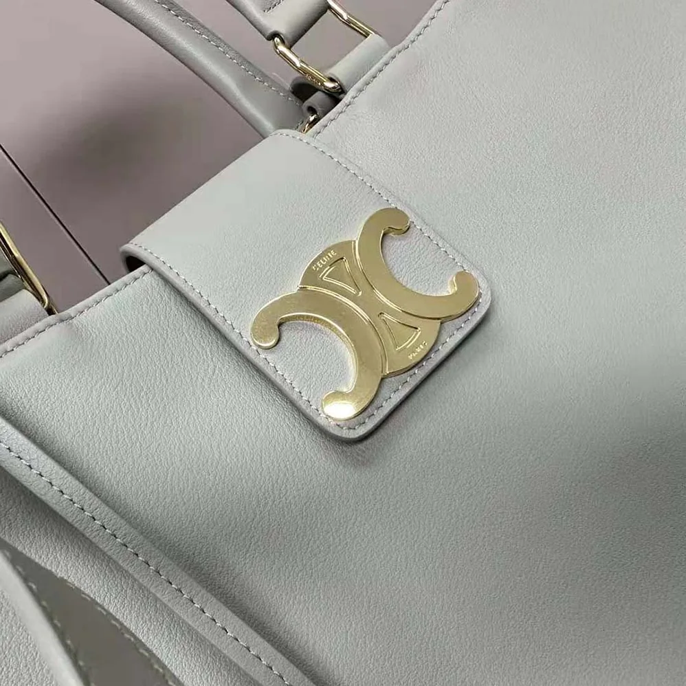 Celine Medium Appoline Bag in Supple Calfskin for Women in Gray Celine Medium Appoline Bag in Supple Calfskin for Women in Gray