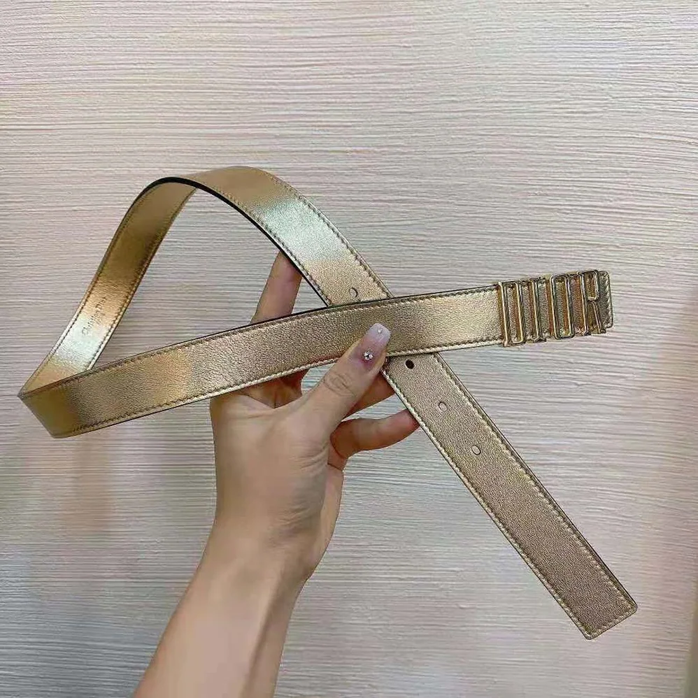 Dior D-Fence Belt Gold-Tone Laminated Crinkled Calfskin 30 MM for Women Dior D-Fence Belt Gold-Tone Laminated Crinkled Calfskin 30 MM for Women