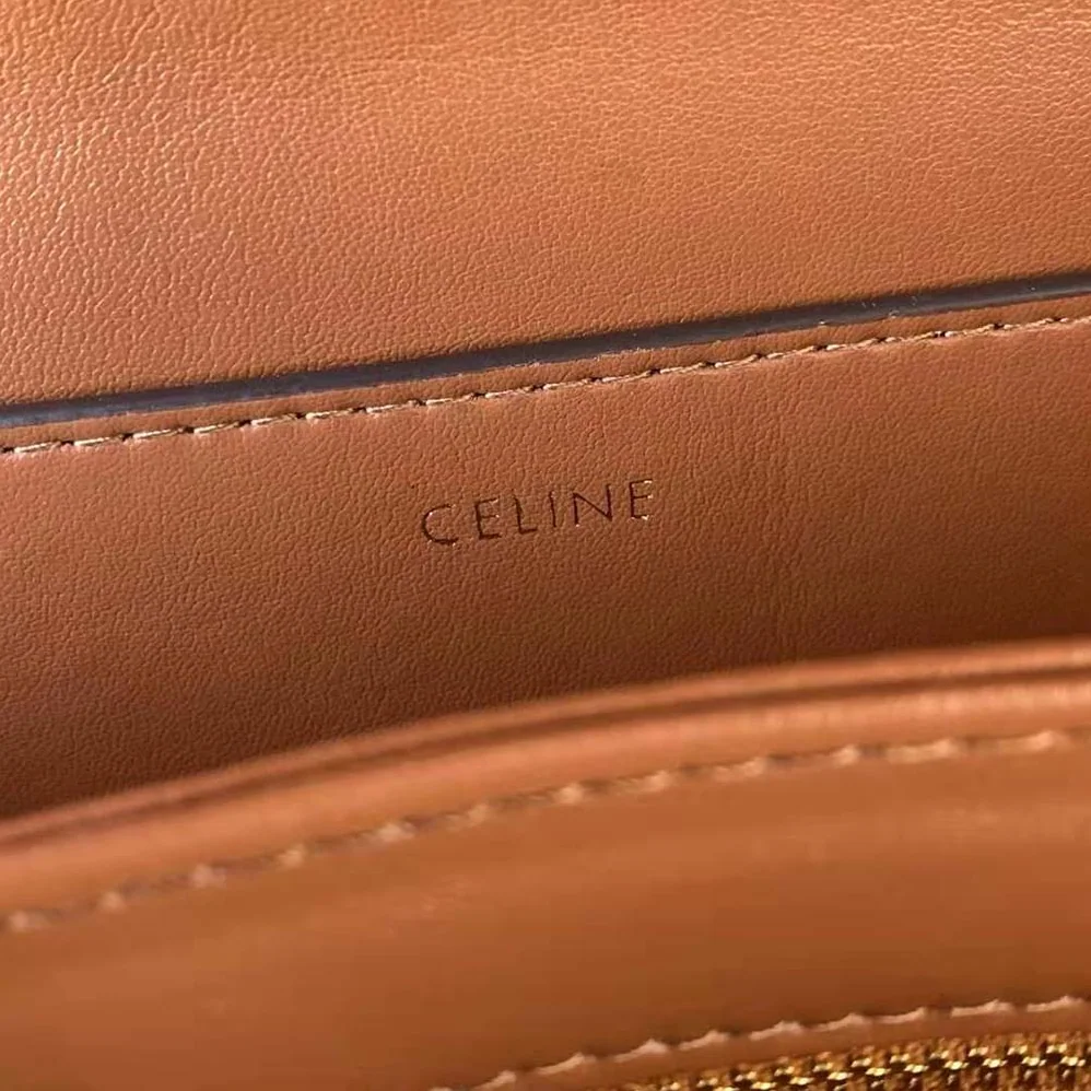 Celine Medium Triomphe Bag in Triomphe Textile and Calfskin for Women