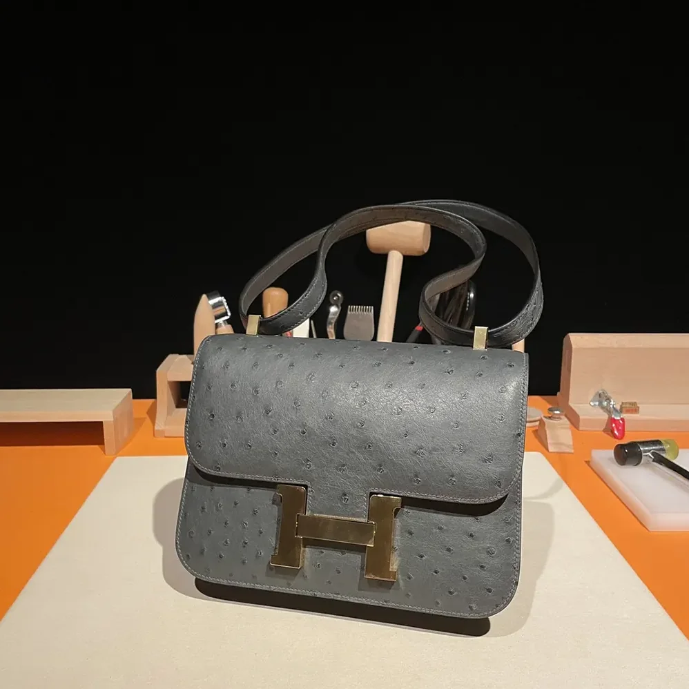 Hermes Constance 24 Bag Nata Ostrich Leather for Women in Silver/Gold