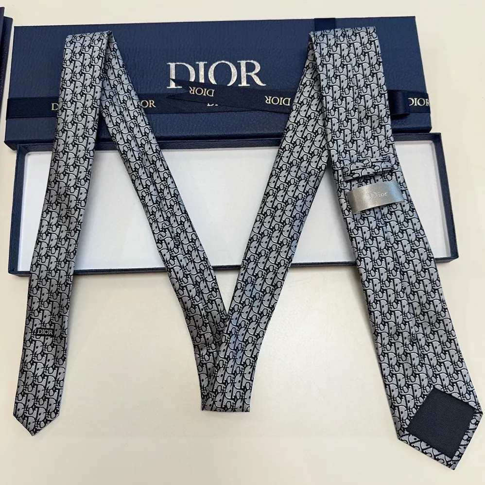 Dior Oblique Tie Gray Silk for Men