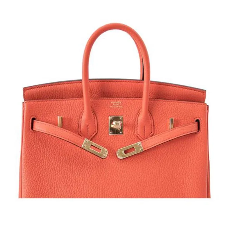 Hermes Birkin 25 Bag in Togo Leather with Gold Hardware in Orange