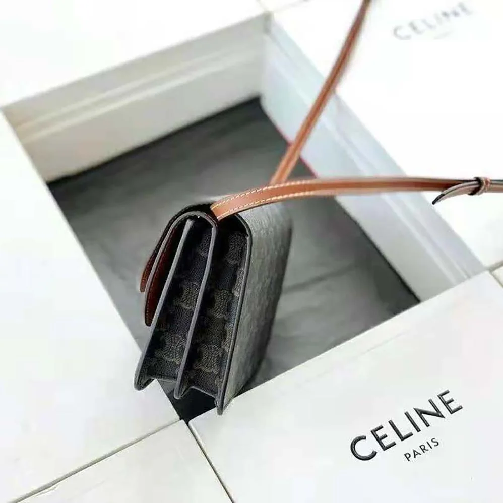 Celine Wallet on Strap in Triomphe Canvas and Smooth Lambskin for Women in Tan