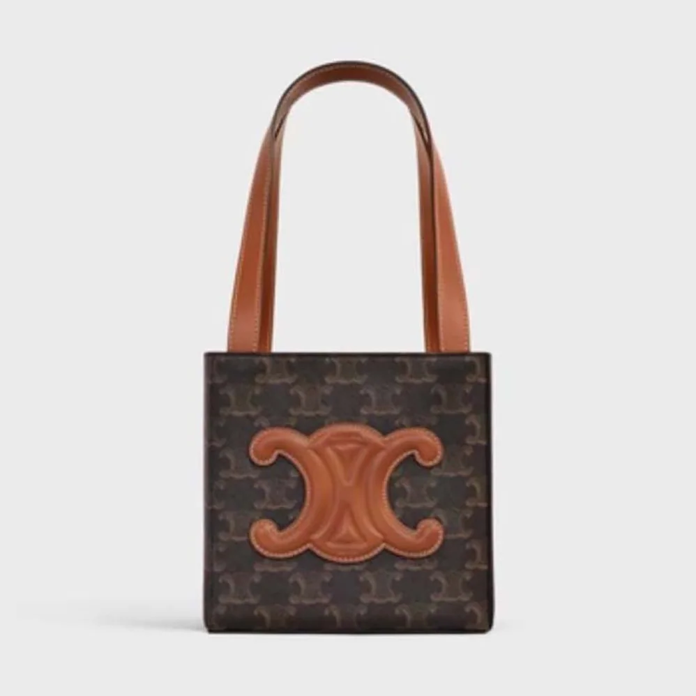 Celine Cube Bag Cuir Triomphe in Triomphe Canvas and Calfskin for Women