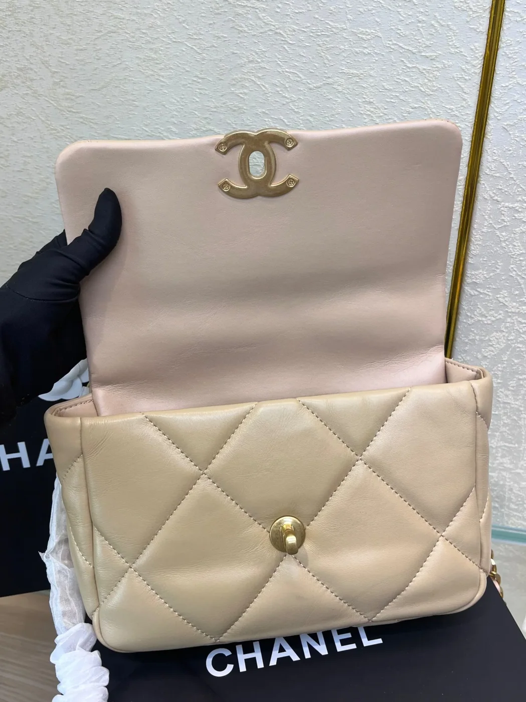 Chanel 19 Flap Bag Crossbody in Beige