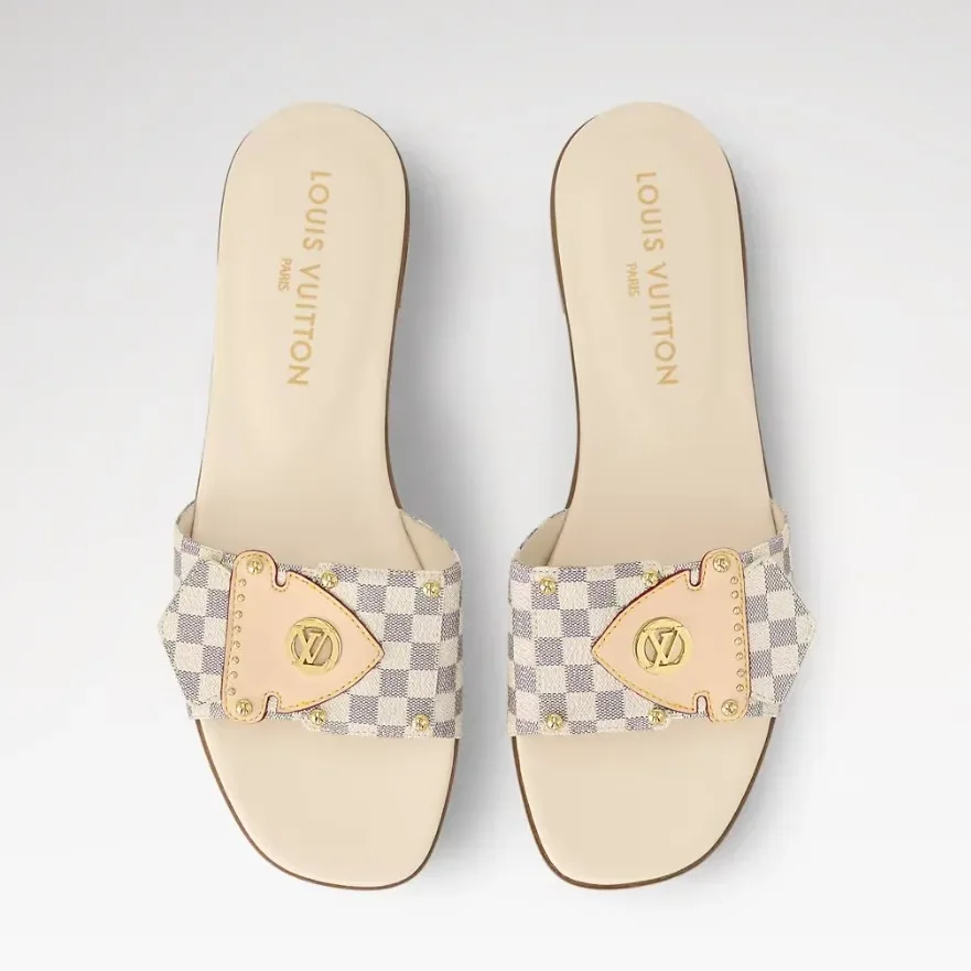 Louis Vuitton LV Frame Flat Mule Damier Canvas 1AHLPS