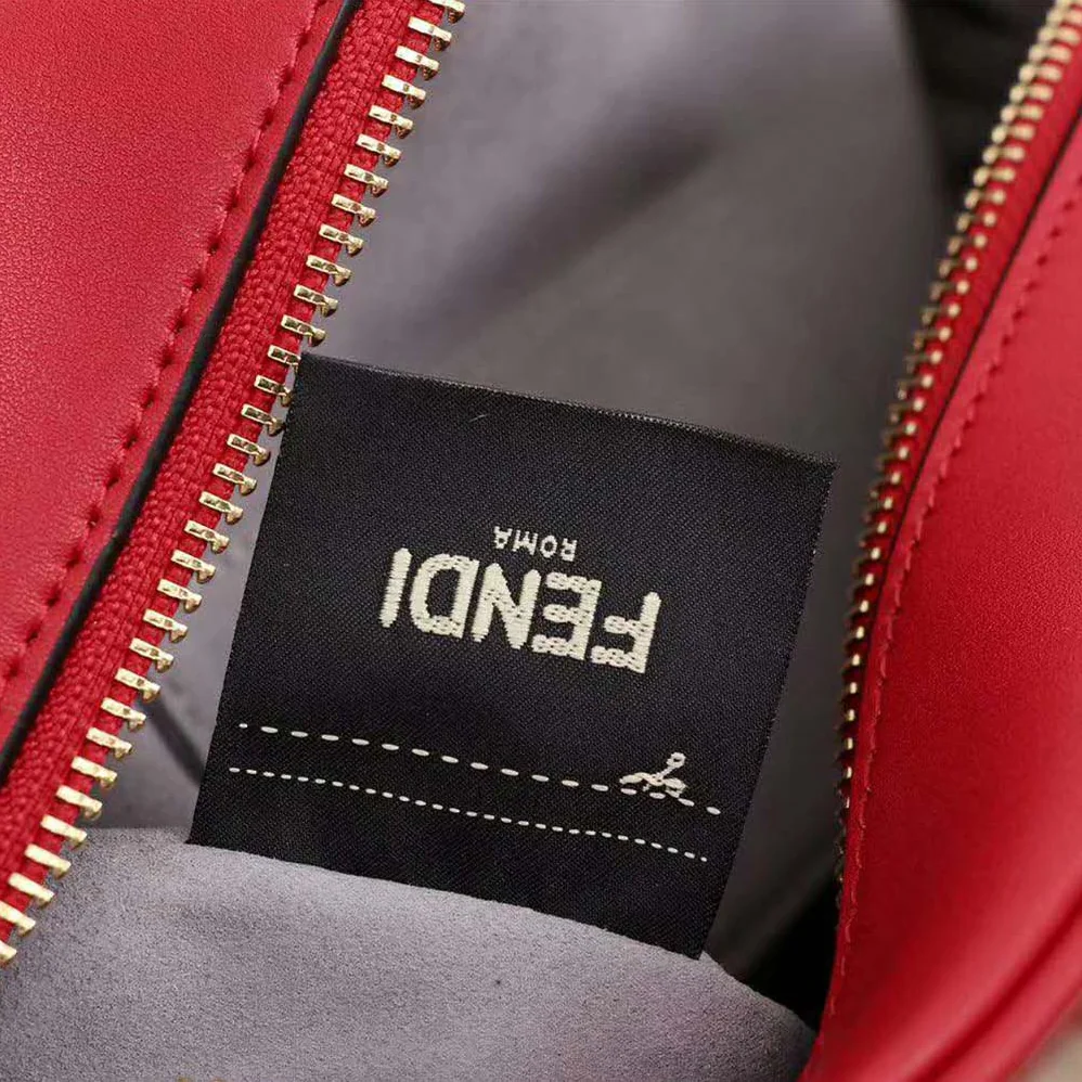 Fendi Camera Case Leather Bag for Women in Red