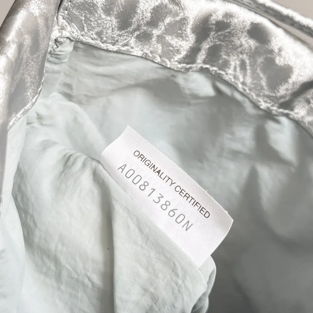 Bottega Veneta Small Dustbag for Women in Silver