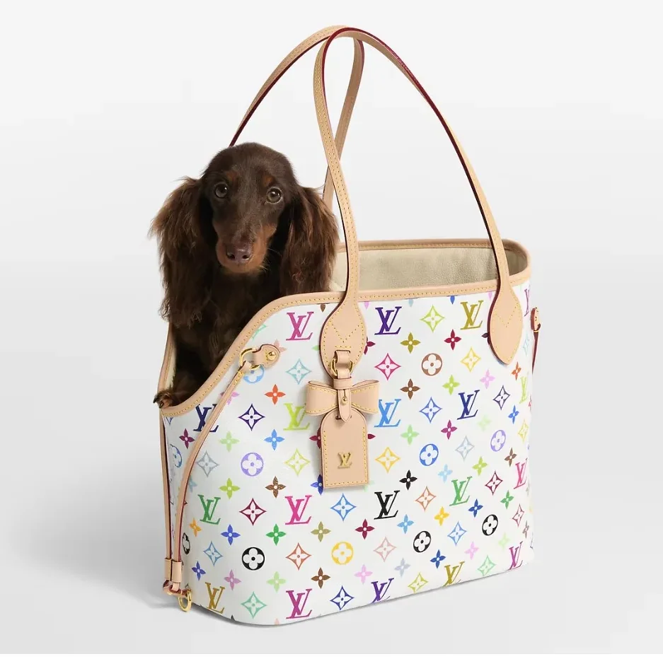 Louis Vuitton LV x TM Neverwoof Tote Bag in Multicolored Gold Hardware