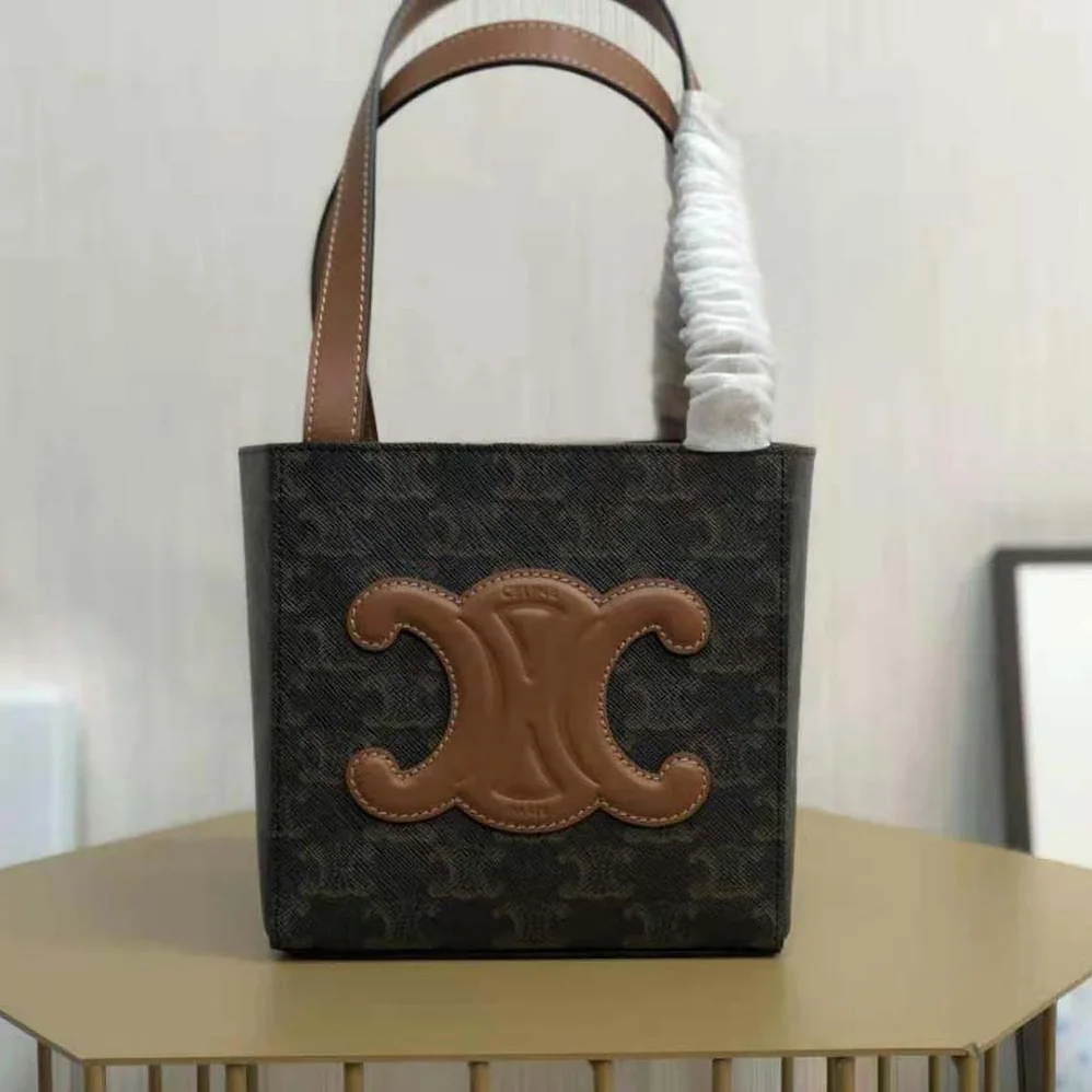 Celine Cube Bag Cuir Triomphe in Triomphe Canvas and Calfskin for Women