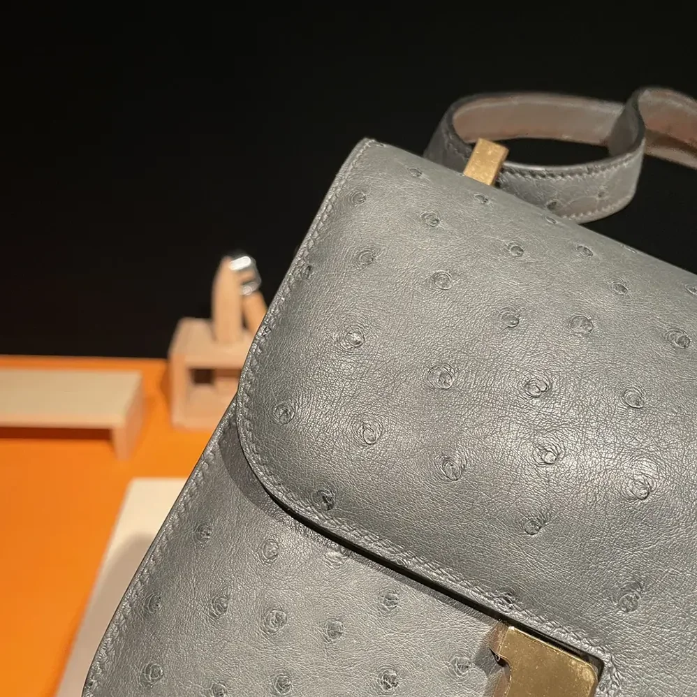 Hermes Constance 24 Bag Nata Ostrich Leather for Women in Silver/Gold