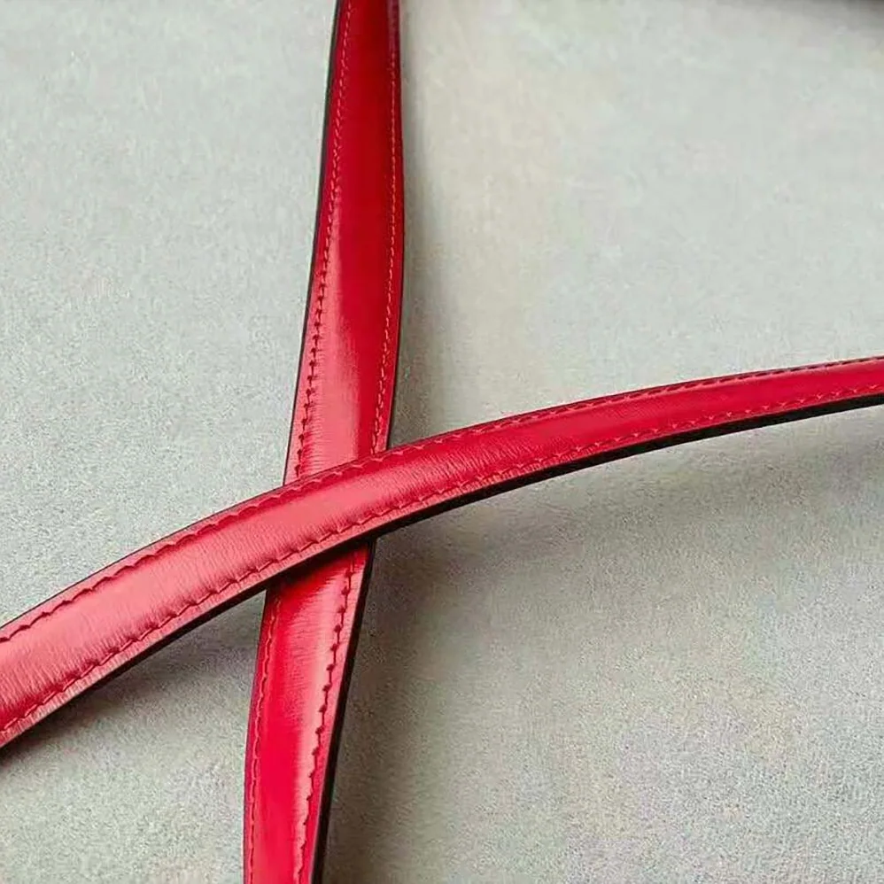 Celine Medium Classic Bag in Box Calfskin for Women in Red Celine Medium Classic Bag in Box Calfskin for Women in Red