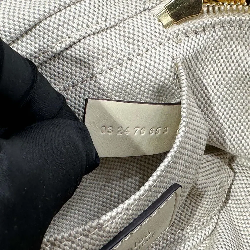 Chloe Small Camera Bag in Shiny Leather for Women in Beige
