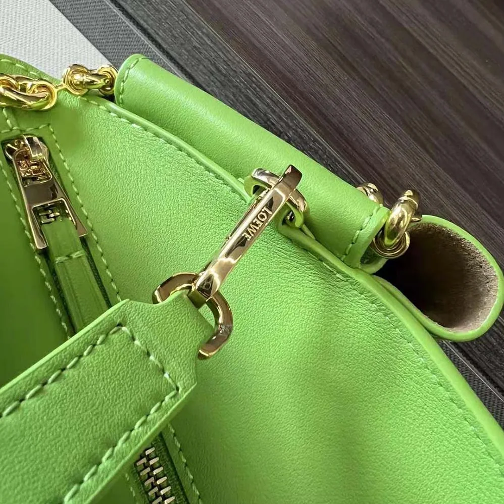 Loewe Small Paseo Bag in Shiny Nappa Calfskin with Chain for Women in Green