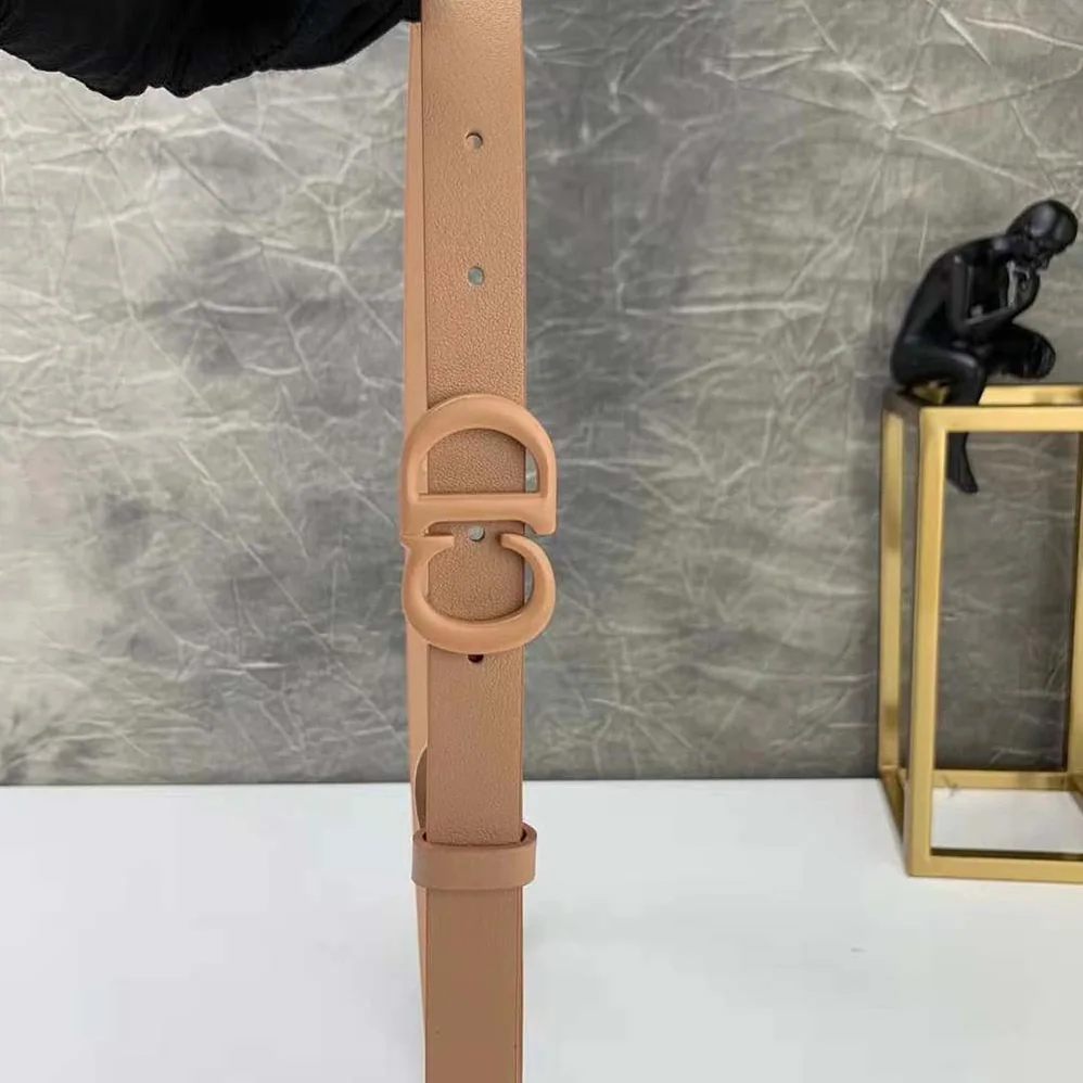 Dior Saddle Matte Blush Matte Calfskin, 20 MM for Women Dior Saddle Matte Blush Matte Calfskin, 20 MM for Women