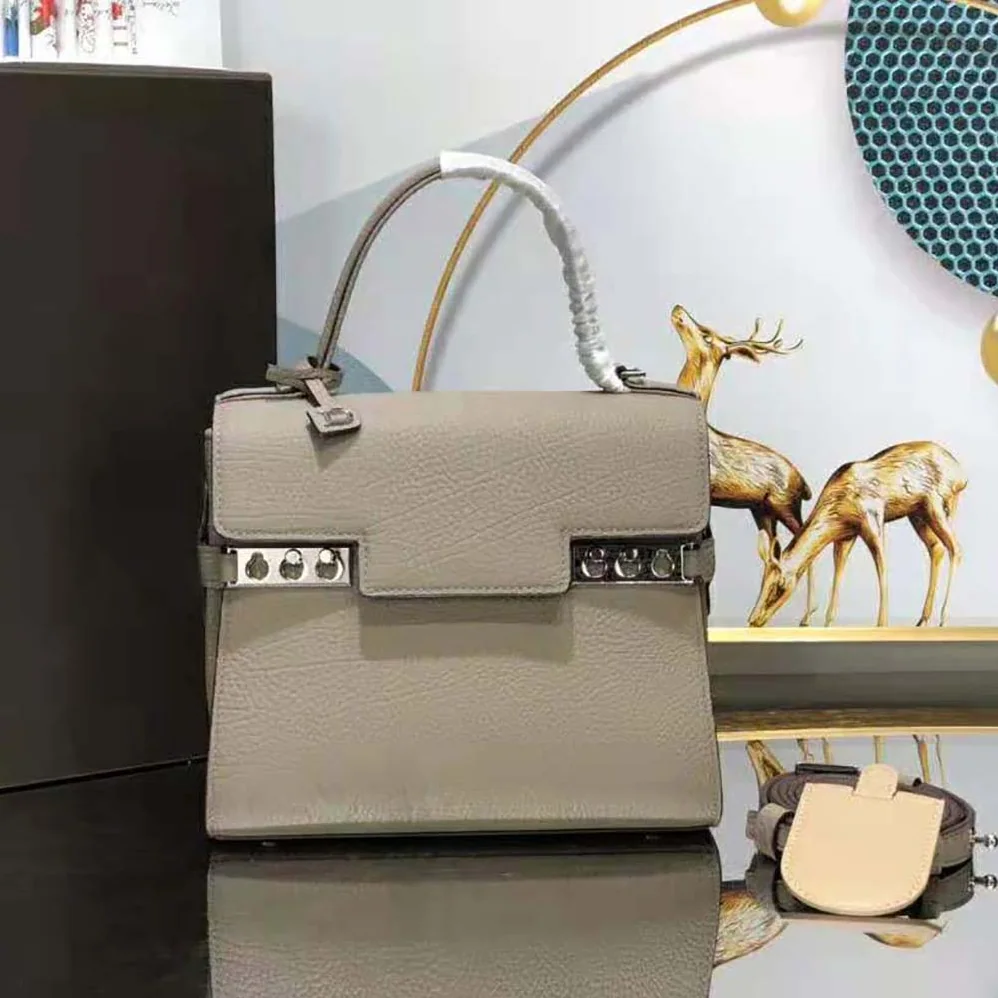 Delvaux Tempete PM in Crispy Calf for Women in Beige