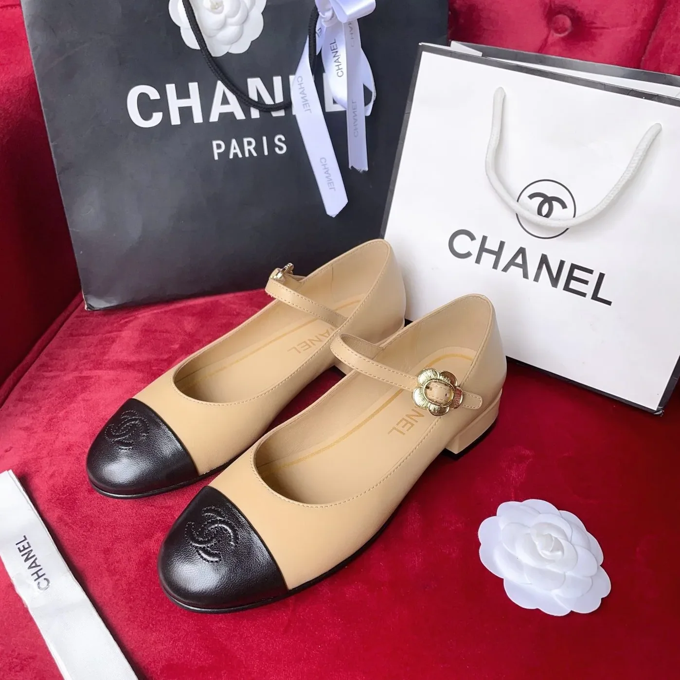 Chanel Pumps Beige Chanel Pumps Beige