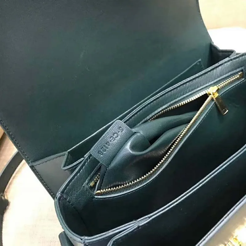 Celine Medium Triomphe Bag In Shiny Calfskin for Women in Green Celine Medium Triomphe Bag In Shiny Calfskin for Women in Green