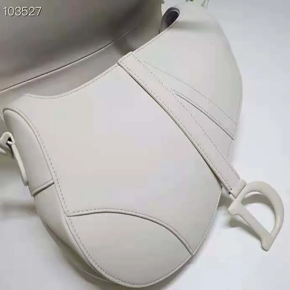 Dior Saddle Bag Latte Ultramatte Calfskin for Women Dior Saddle Bag Latte Ultramatte Calfskin for Women