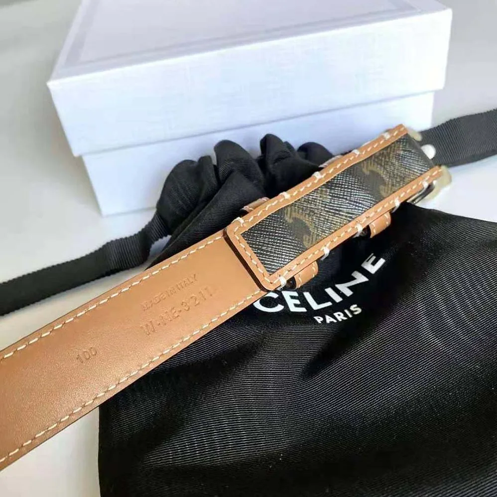 Celine Medium with Bborder Triomphe Belt in Triomphe Canvas and Calfskin for Women