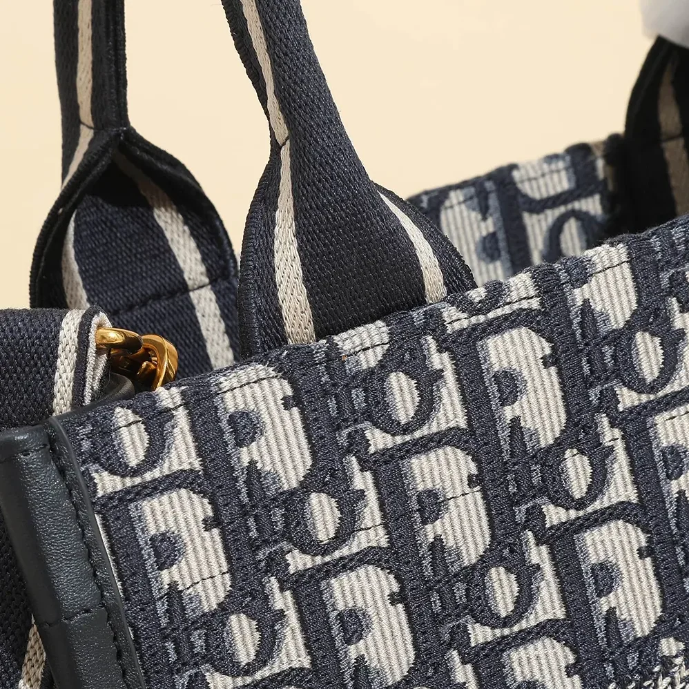 Dior Small Dior Book Tote Blue Dior Oblique Embroidery and Calfskin for Women
