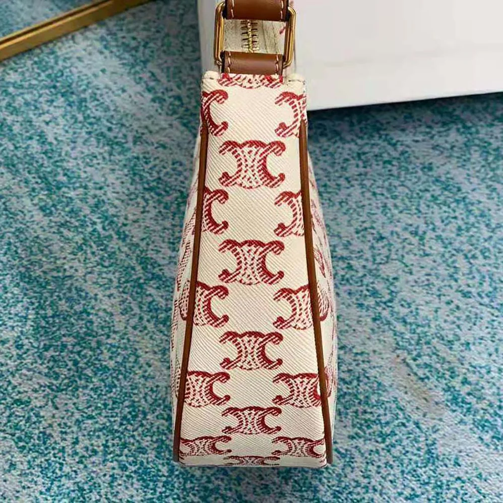 Celine Ava Bag in Triomphe Canvas and Calfskin for Women