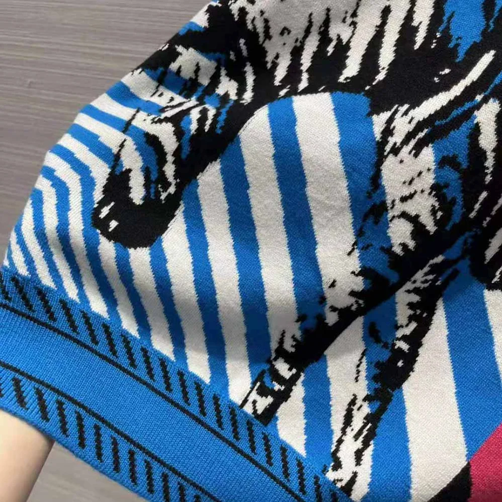 Dior Sweater Bright Blue and Pink D-Jungle Pop Double for Women in Sided Technical Cashmere
