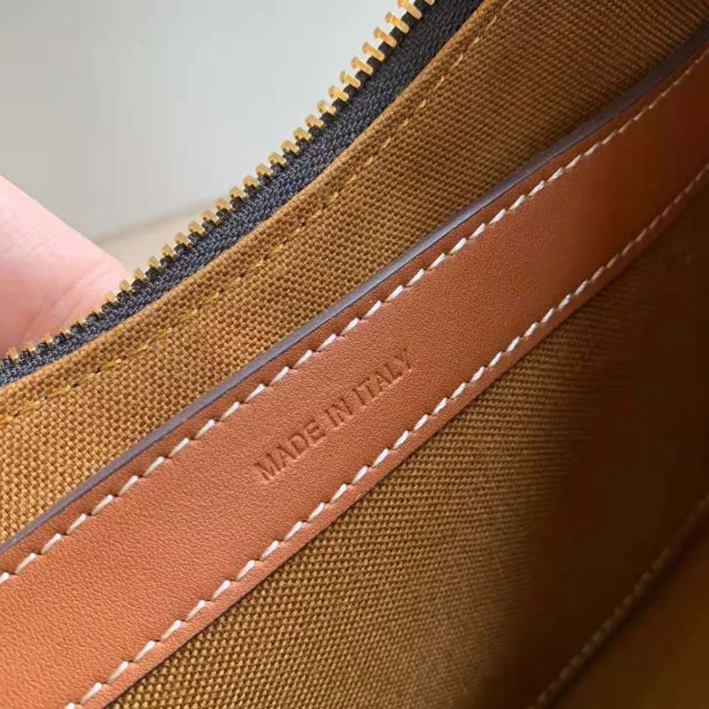 Celine Ava Bag in Triomphe Canvas for Women in Brown Celine Ava Bag in Triomphe Canvas for Women in Brown