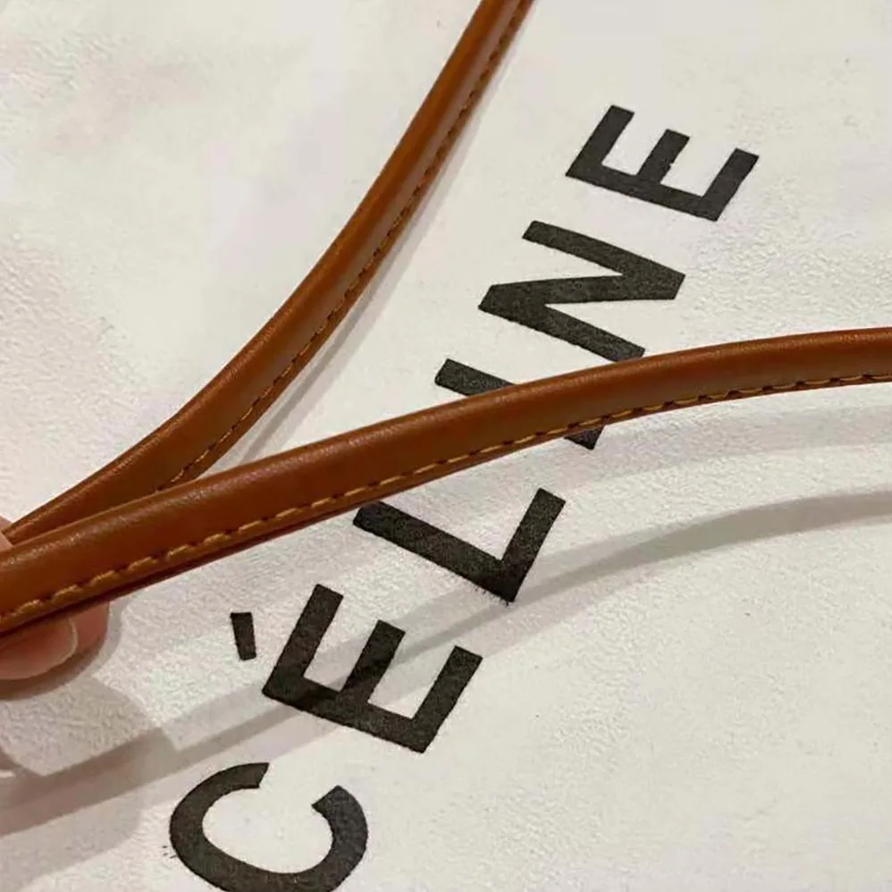 Celine Triangle Bag in Triomphe Canvas for Women in Brown