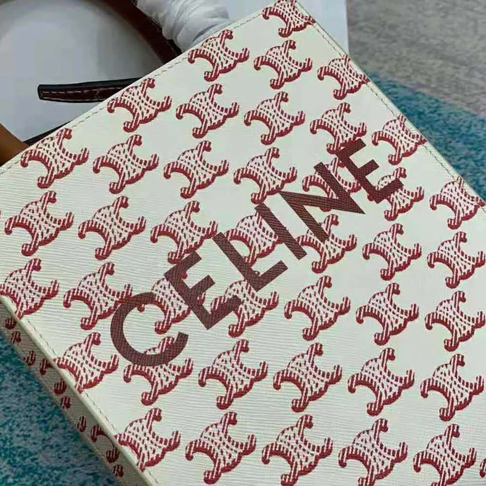 Celine Mini Vertical Cabas in Triomphe Canvas with Celine Print for Women