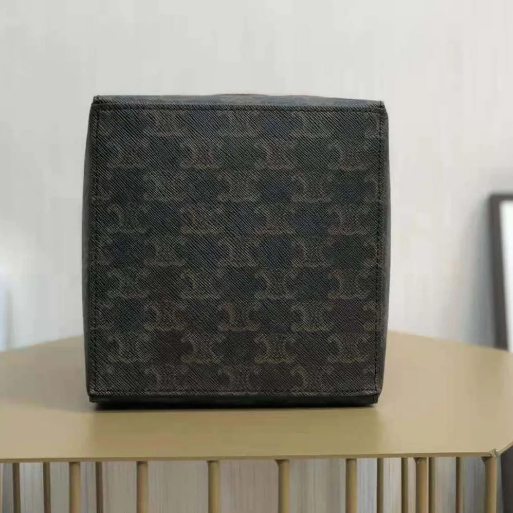 Celine Cube Bag Cuir Triomphe in Triomphe Canvas and Calfskin for Women