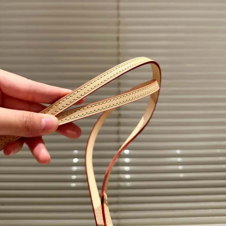 Louis Vuitton Carry It Beige Plum /