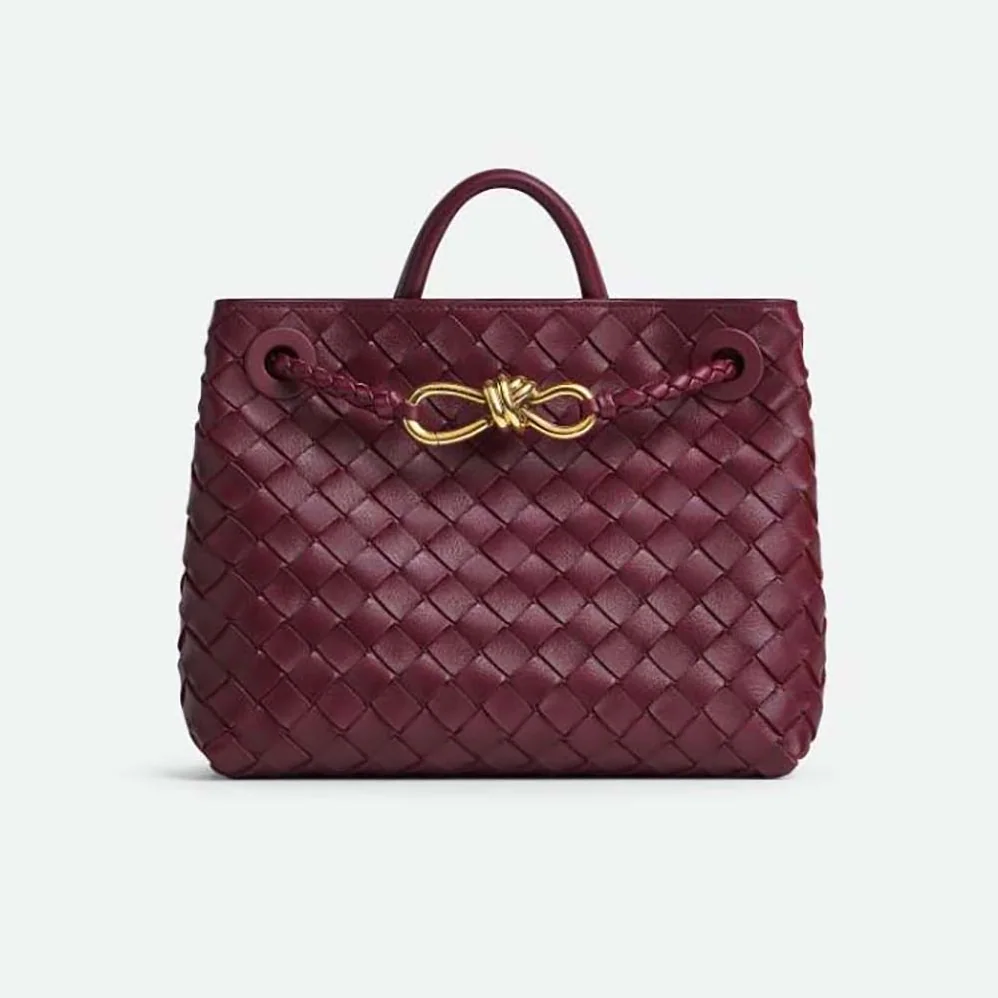 Bottega Veneta Small Andiamo in Lambskin Leather for Women in Maroon