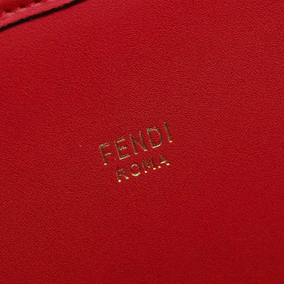 Fendi Camera Case Leather Bag for Women in Red