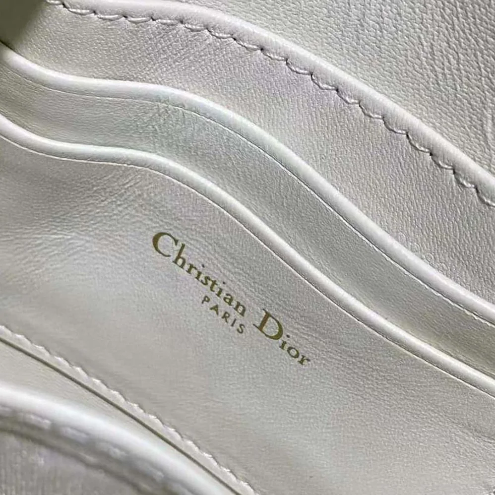 Dior Saddle Shoulder Pouch Latte Goatskin for Women