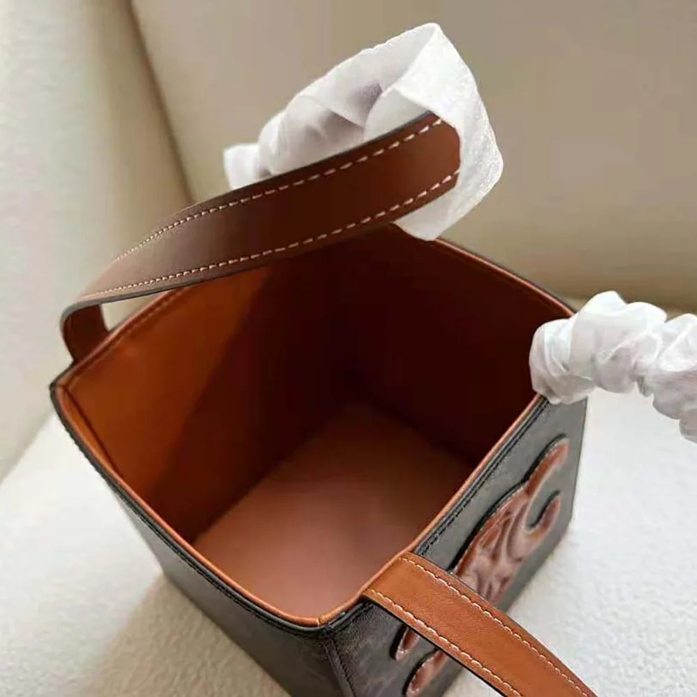 Celine Cube Bag Cuir Triomphe in Triomphe Canvas and Calfskin for Women