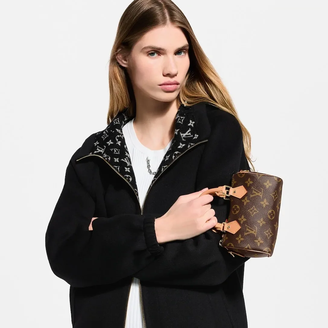 Louis Vuitton Nano Speedy Top Handle Bag / Brown Monogram Canvas Gold Hardware Louis Vuitton Nano Speedy Top Handle Bag / Brown Monogram Canvas Gold Hardware