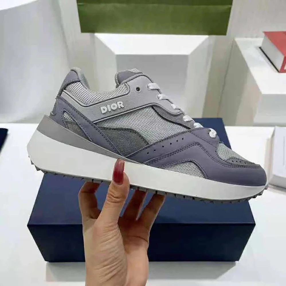 Dior B29 Sneaker Gray Technical Mesh Suede and Smooth Calfskin for Men
