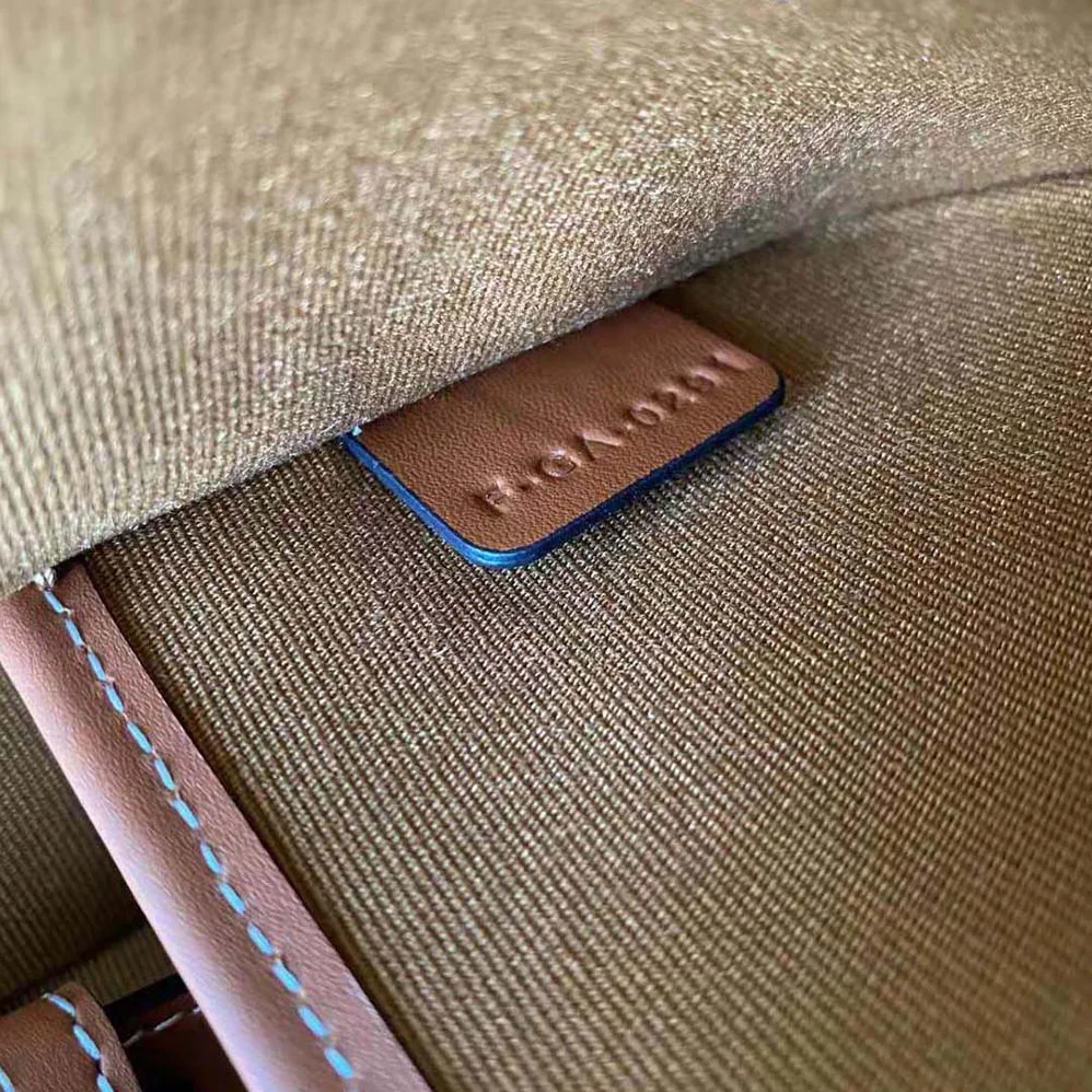 Celine Ava Bag in Triomphe Canvas and Calfskin for Women