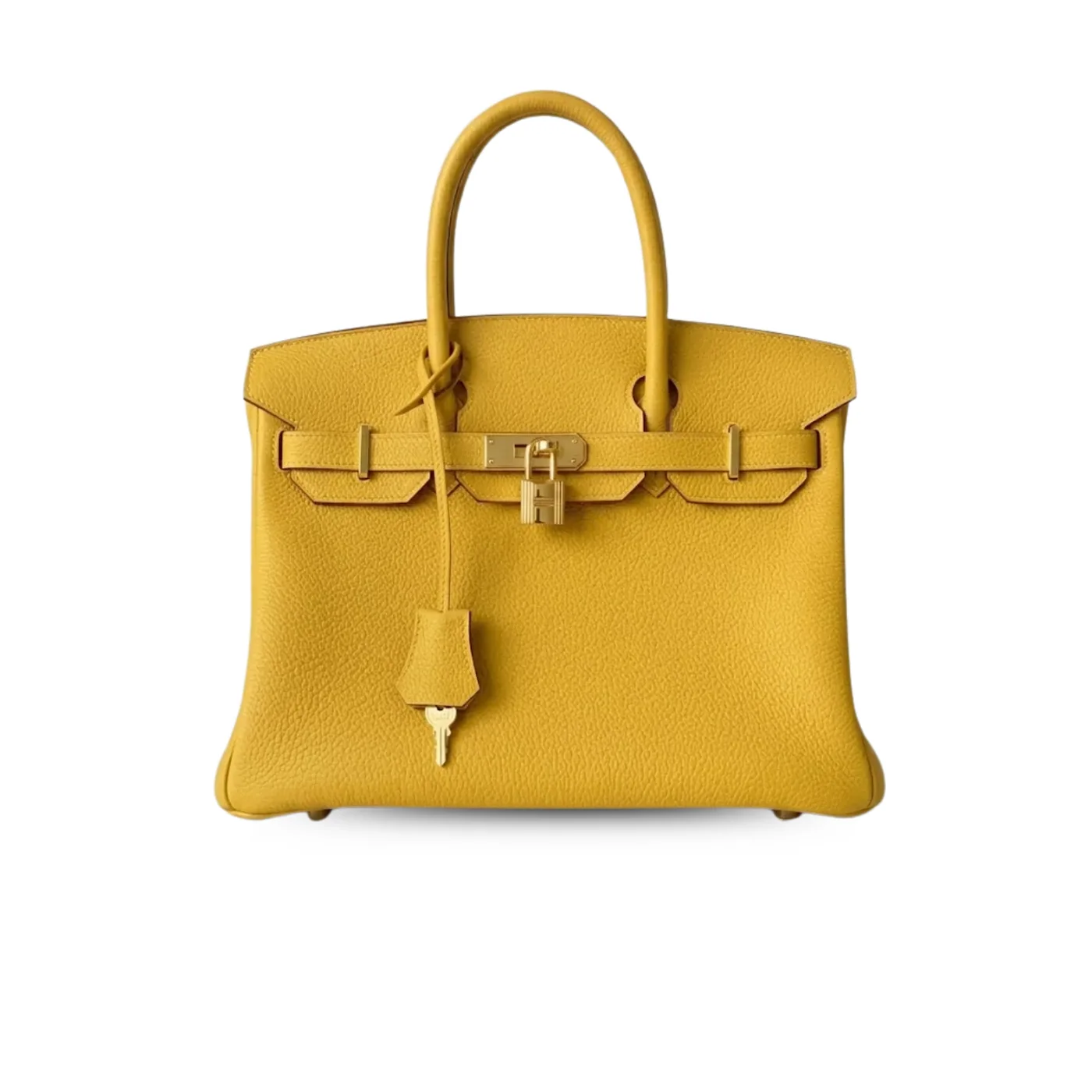 Hermes Birkin Top Handle Bag in Nata Yellow Gold Hardware