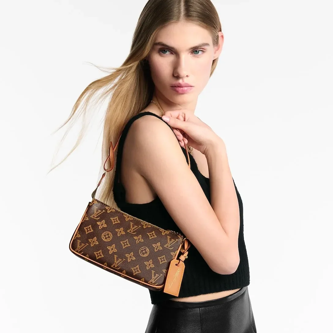 Louis Vuitton Pochette Accessoires Shoulder Bag / Brown Monogram Origine Ebene Gold Hardware