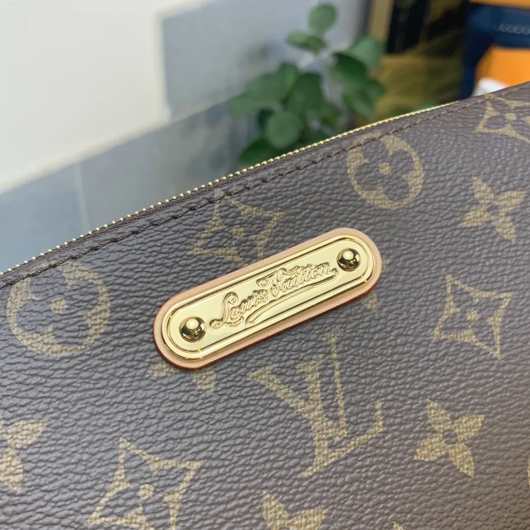 Louis Vuitton Eva 2Way Chain Shoulder Bag in Brown Monogram