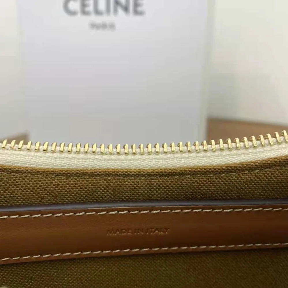 Celine Ava Bag in Triomphe Canvas and Calfskin for Women