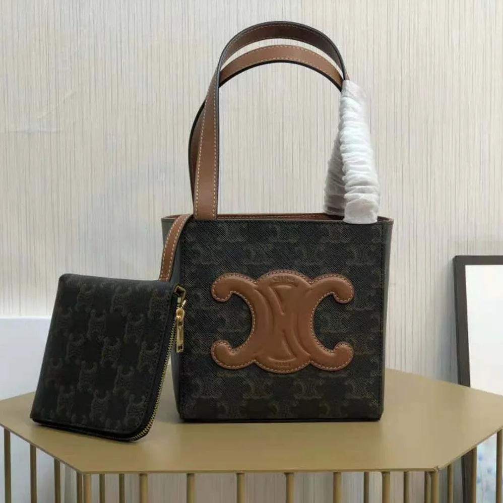 Celine Cube Bag Cuir Triomphe in Triomphe Canvas and Calfskin for Women
