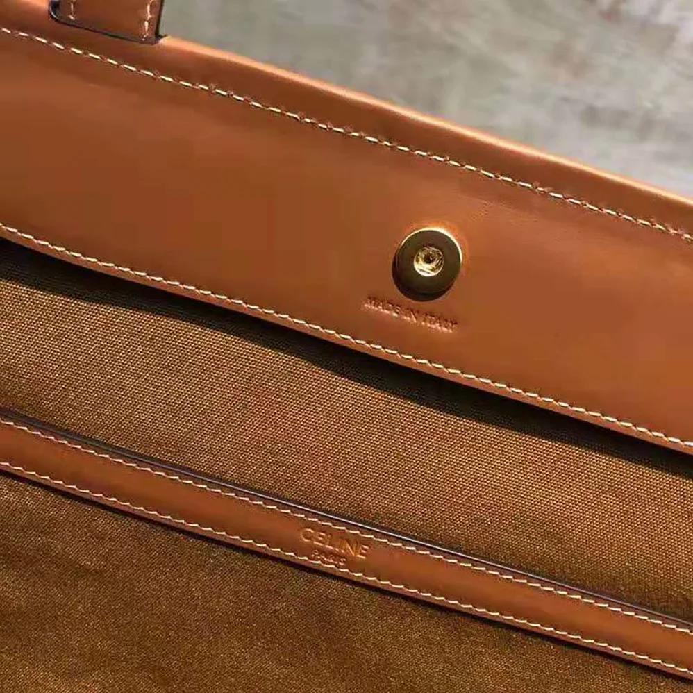 Celine Medium Cabas in Triomphe Canvas for Women in Brown