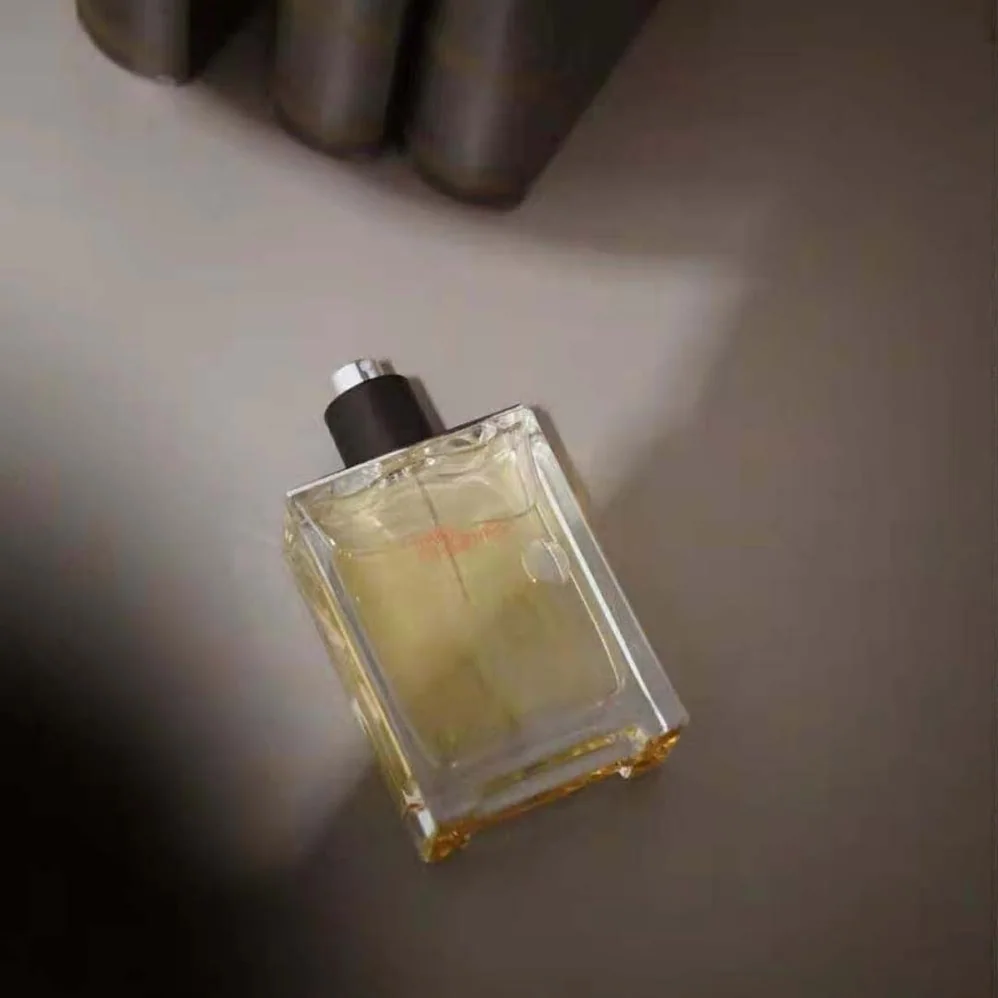 Hermes Terre D'hermes Eau de Toilette for Women