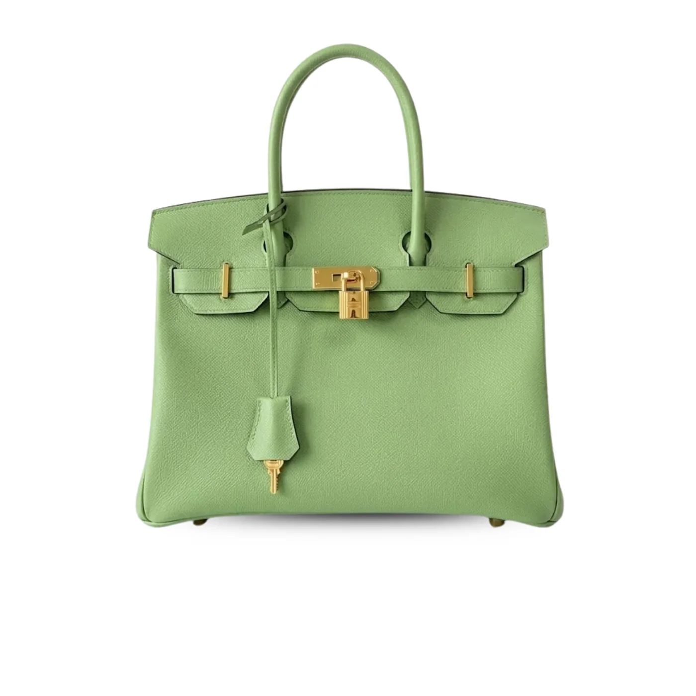 Hermes Birkin Top Handle Bag / Nata Swift Green Gold Hardware