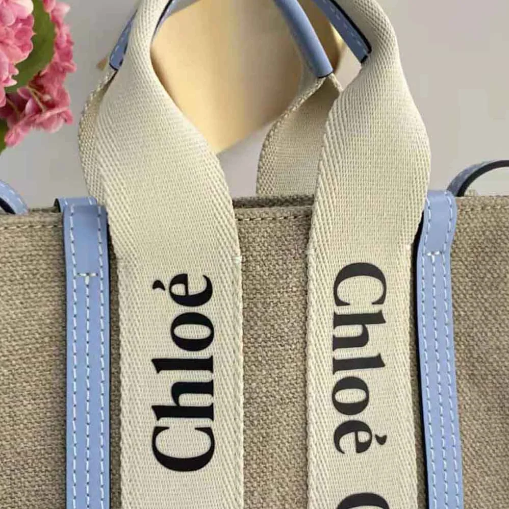 Chloe Mini Woody Tote Bag for Women in Blue