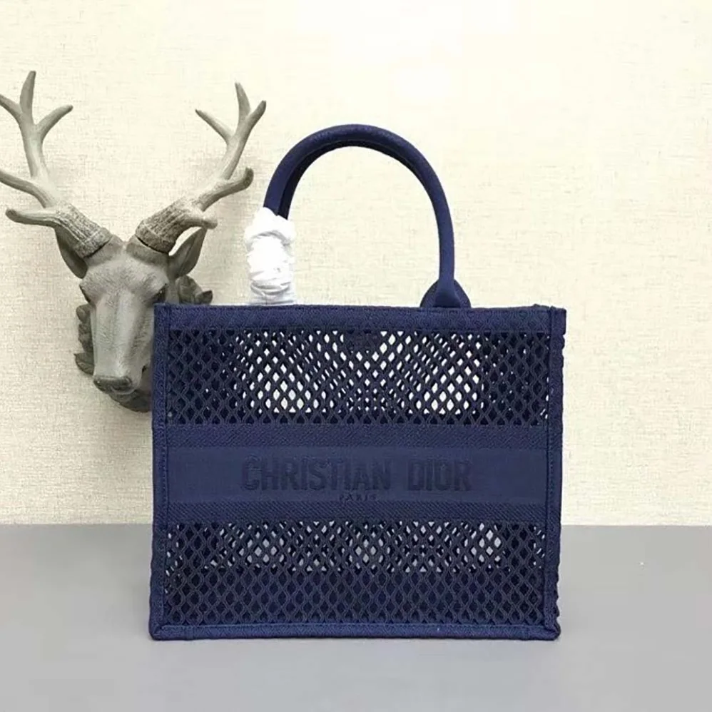 Dior Small Dior Book Tote Blue Mesh Embroidery for Women